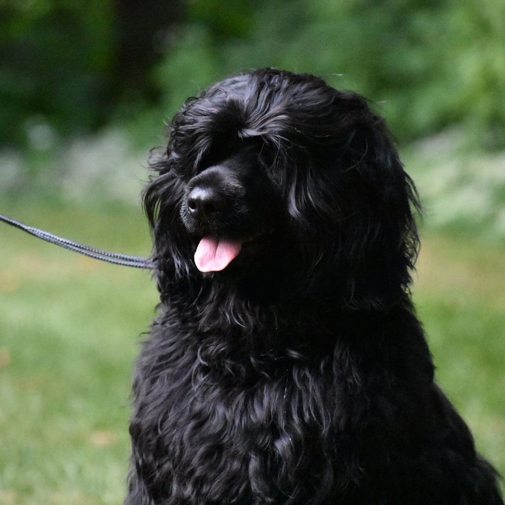 Meet your Posher, Mary